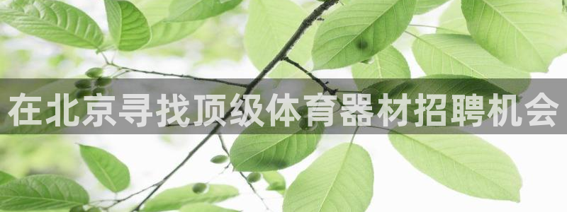 尊龙凯时取款24小时不到账